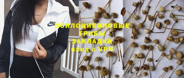 каннабис Алексеевка