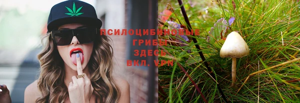 каннабис Алексеевка