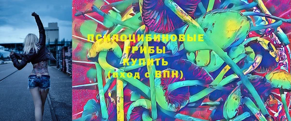 прущая мука Алзамай