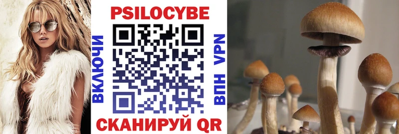 сайты даркнета наркотические препараты  Туймазы  Псилоцибиновые грибы MAGIC MUSHROOMS  где можно купить наркотик 